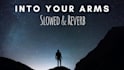 slow and reverb any song in 24 hours