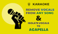 remove vocals from any song quickly