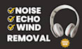 remove noise, wind, echo, repair and edit your audio