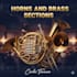 create professional horn and brass section for your song