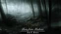 create horror music for you