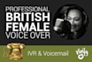 record a pro voice mail message or telephone script