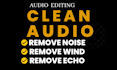 remove noise, wind, echo, repair and clean your audio