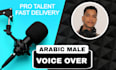 record a professional arabic voice over and dubbing in modern standard arabic