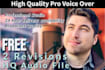 professionally record an exciting american vo for youtube