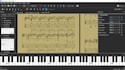 arrange and transcribe most types of music