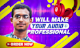fix audio editing to remove background noise, wind, echo, repair, clean, fix