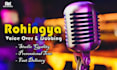 do rohingya voice over and dubbing male and female