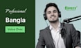 record professional bangla voice for ad or any video