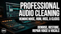 denoise ,clean audio ,remove background noise and edit voice over