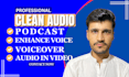 do audio editing, background noise reduction, clean and fix audio of your video