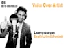 record  voice over in hindi , indian english and punjabi