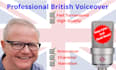 record a professional english character voice over for less