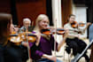 record violin tracks for your composition
