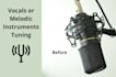 tune and edit your vocals or instrument tracks
