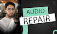 professionally remove noise and enhance your audio
