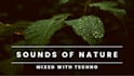 produce minimal techno, goa music with nature sounds