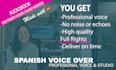 provide record professional audiobook voice over