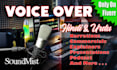 do voice over in hindi and urdu