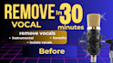 remove vocal frome any track and song in 30 mins