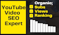 optimize your youtube channel SEO for organic growth