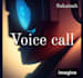 talk with you on a voice call