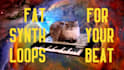 create fat synth loops with analog vibe for your song or beat