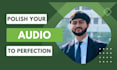 do professional audio editing, cleaning, noise reduction