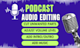 edit, fix, clean, mix, and master your audio podcast in 24 hours