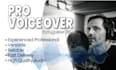 deliver the best professional portuguese voice over