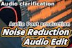 edit your audio, noise reduction, audio mastering
