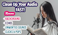 clean up, edit, mix and master your audio