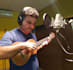 record a ukulele track for your song or project