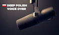 record a male polish voice over for you