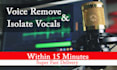 remove vocals professionaly from any audio