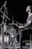 record your fusion jazz arr