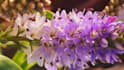 collaborate with you to create custom affirmations