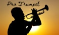record anything professionally on the trumpet