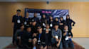 provide professional indonesian dubbing project