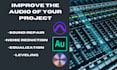 clean, edit and improve your audio