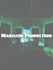 do a complete mariachi production with live musicians