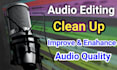 do audio editing, clean up, remove background noise, fix,enhance, improve audio