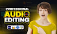 remove background noise, audio editing and mixing in audacity