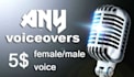 do sinhala or english voice over today
