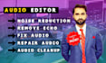 do audio editing to remove background noise, cleanup and fix your audio issues