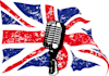 record a professional british male voice over