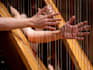 play harp and record for you