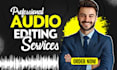do podcast audio editing noise reduction and cleanup