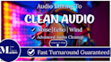 do professional audio repair and noise reduction