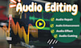 do any type of editing in audio